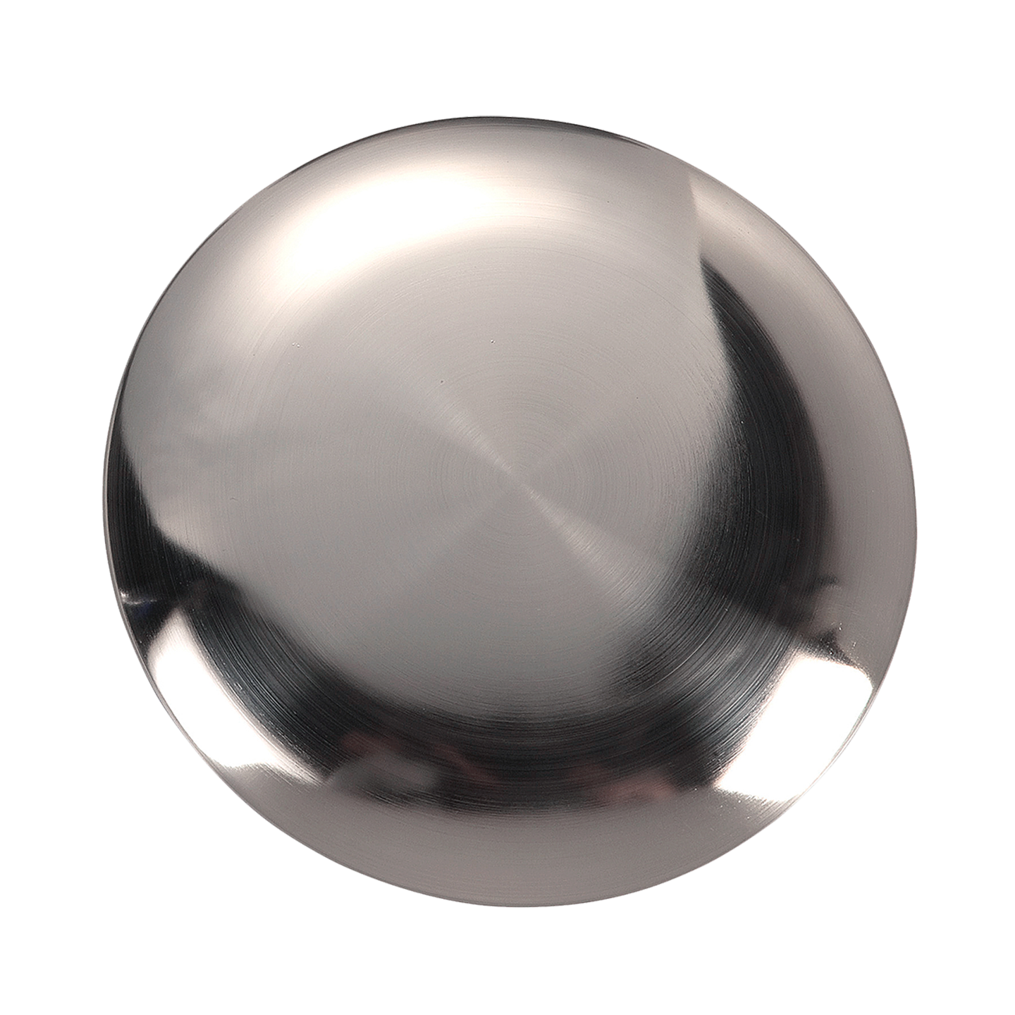 Discus Blanking Plate in Brushed Steel