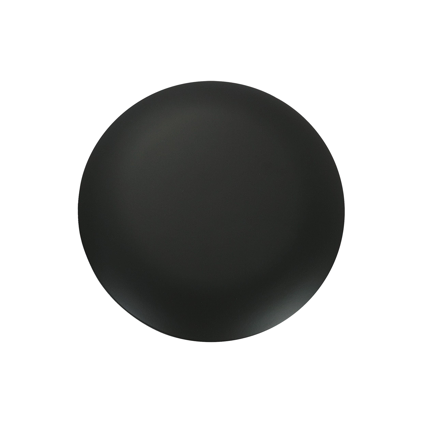 Era Blanking Plate in Midnight Black