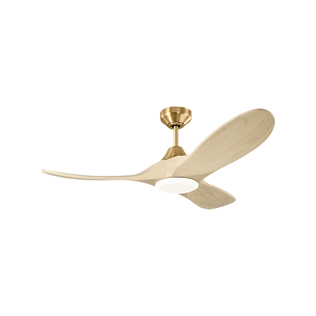 Fans