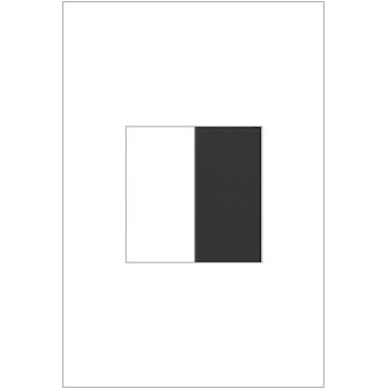 Adorne Blank, Half-Size
