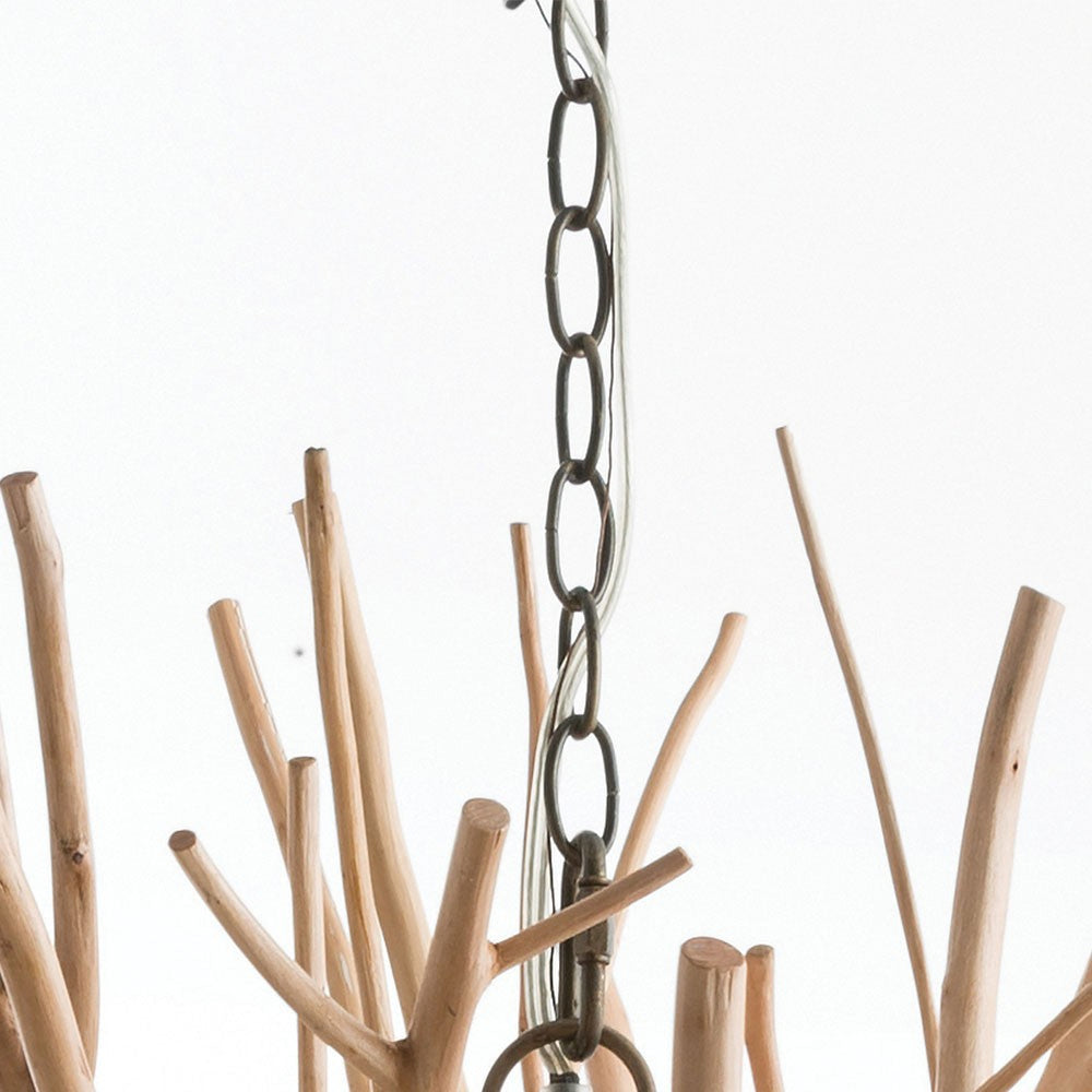 Chain 3' Extension Chain in Natural Iron