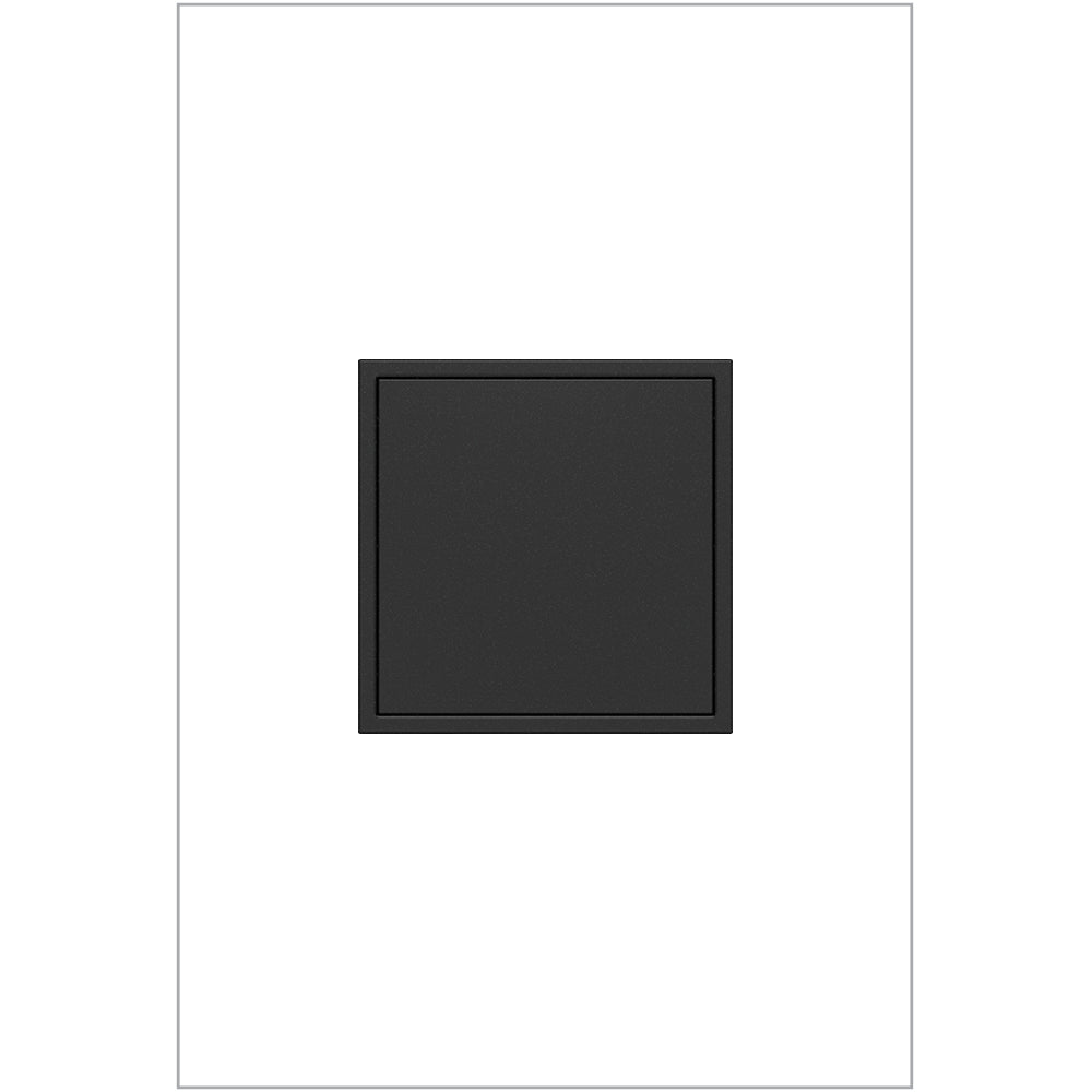 Adorne® 20A One-Gang Pop-Out Outlet, Graphite