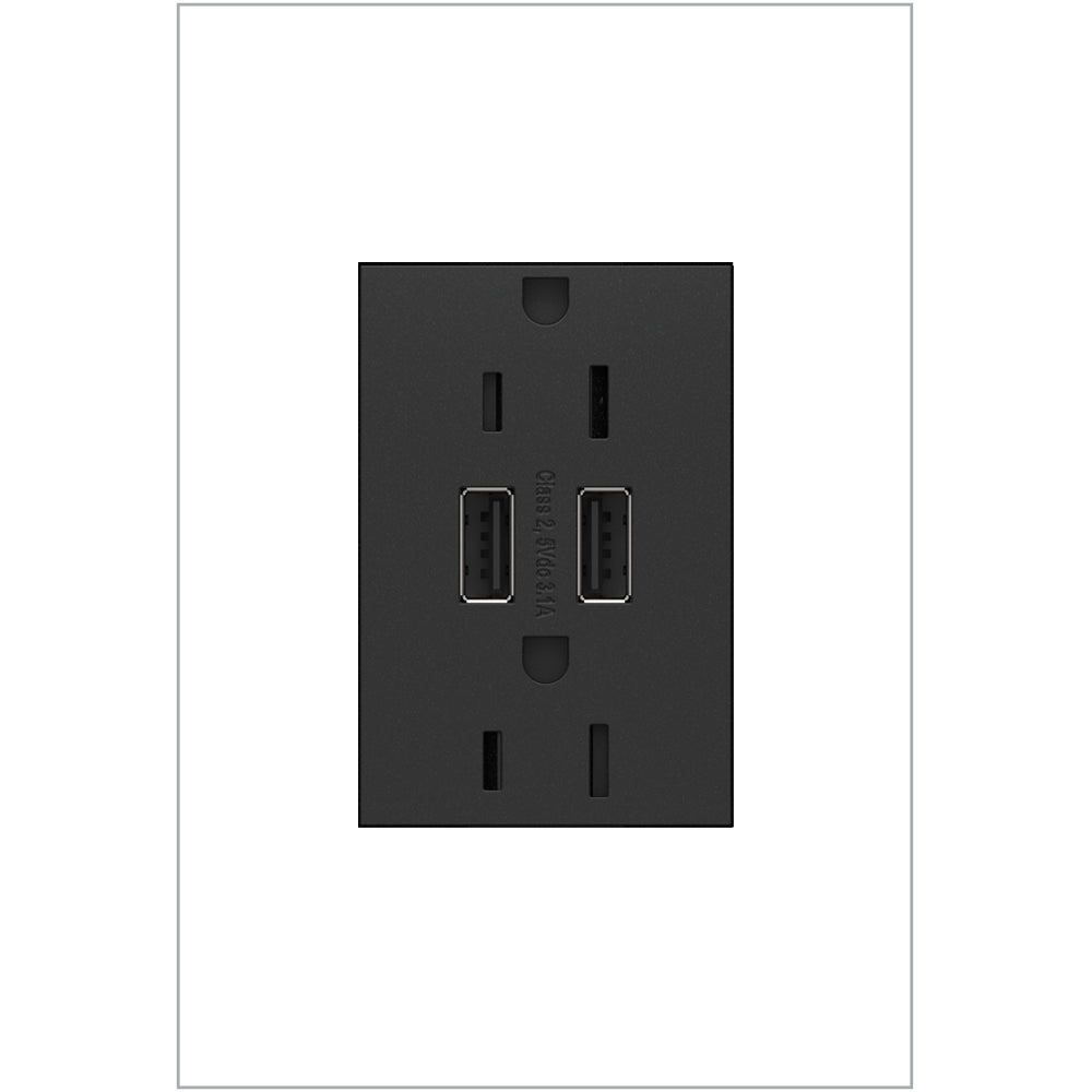 Adorne Dual-USB Outlet
