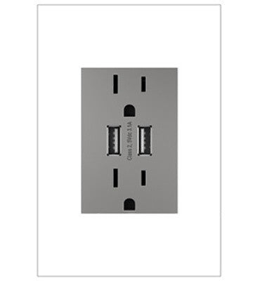 Adorne Dual-USB Outlet