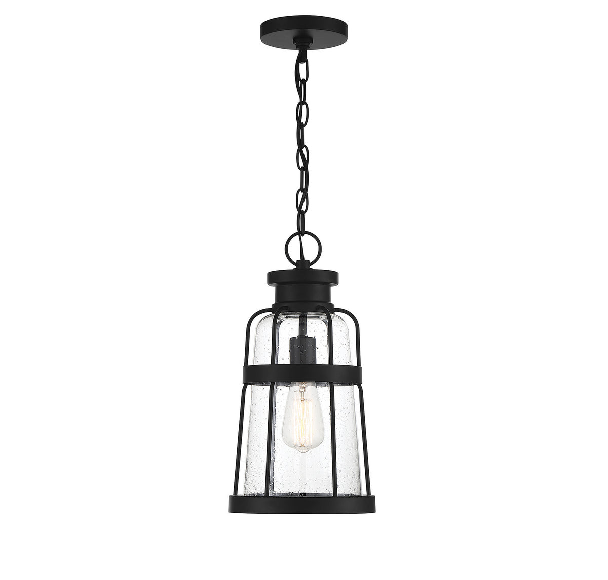Quinton One Light Outdoor Hanging Lantern in Matte Black