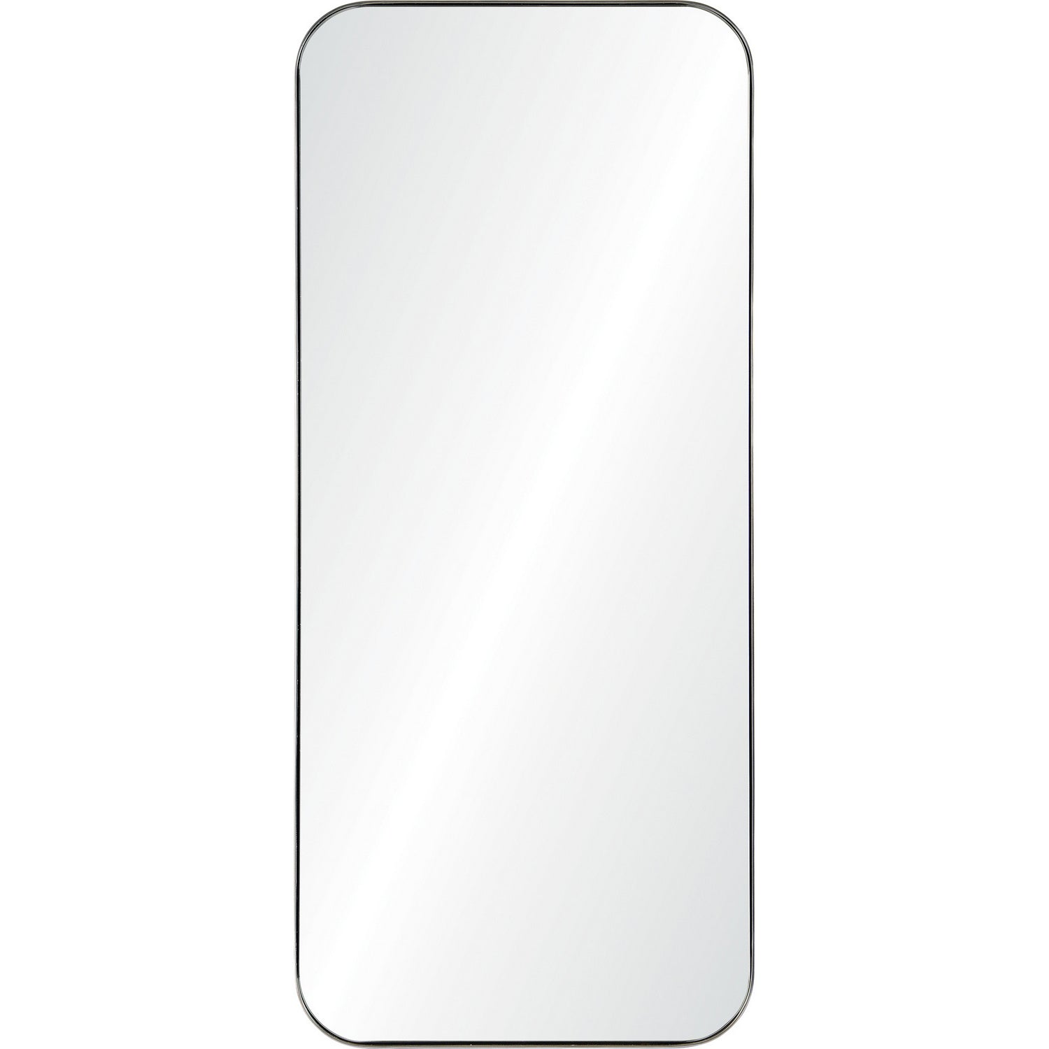 Delphinus Mirror in Satin NIckel