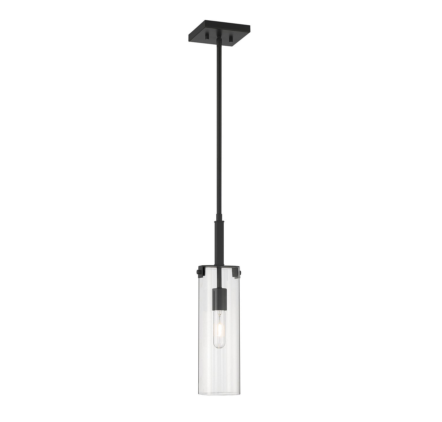 Winfield One Light Mini-Pendant in Matte Black
