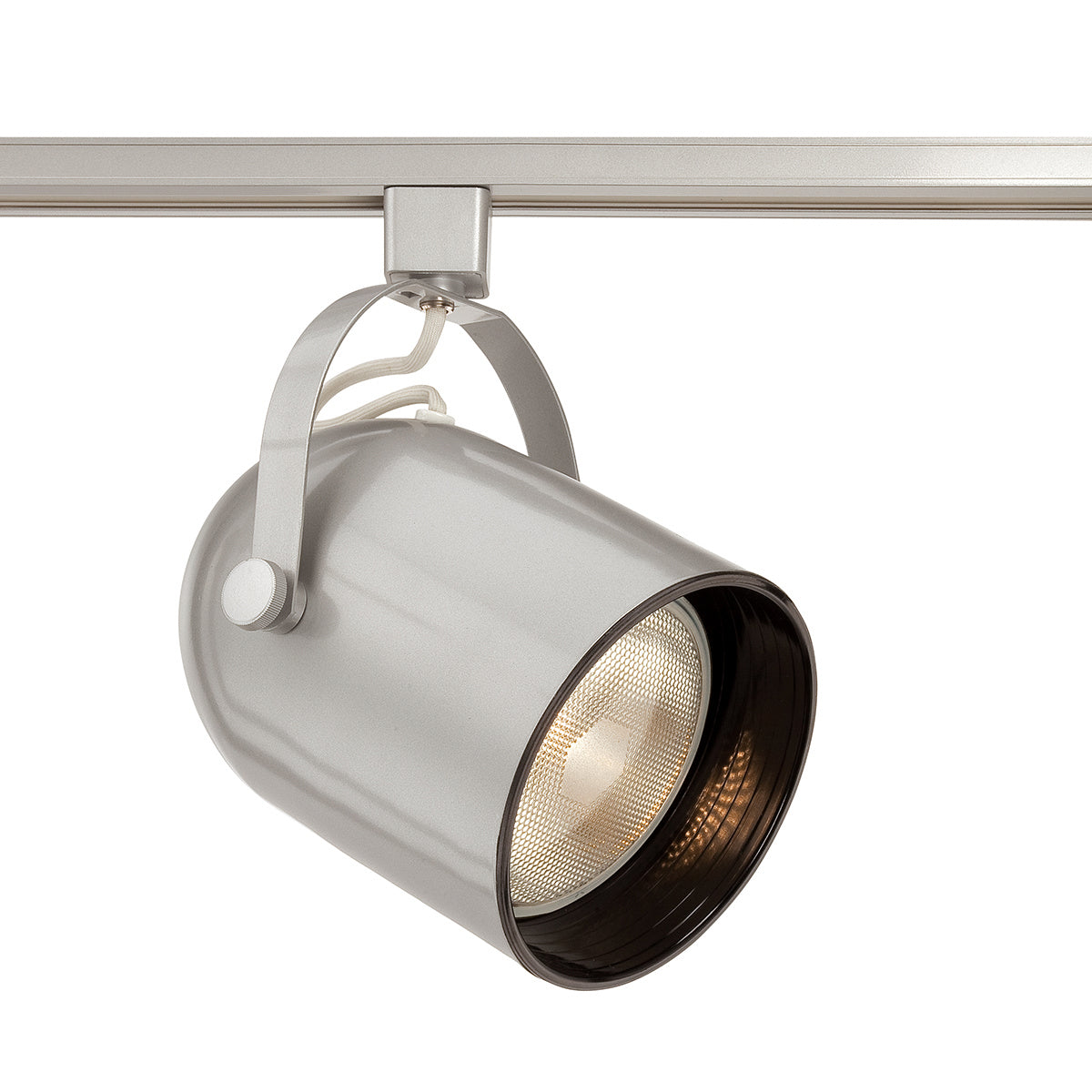 TRACK HEAD TRACKHEAD,PAR20,50W,PLATINUM in Platinum