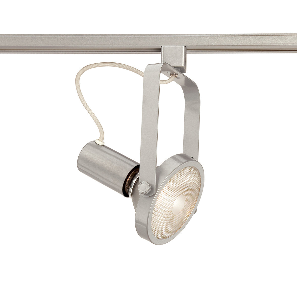 GIMBAL 38 TRACKHEAD,PAR38,150W,PLATINUM in Platinum