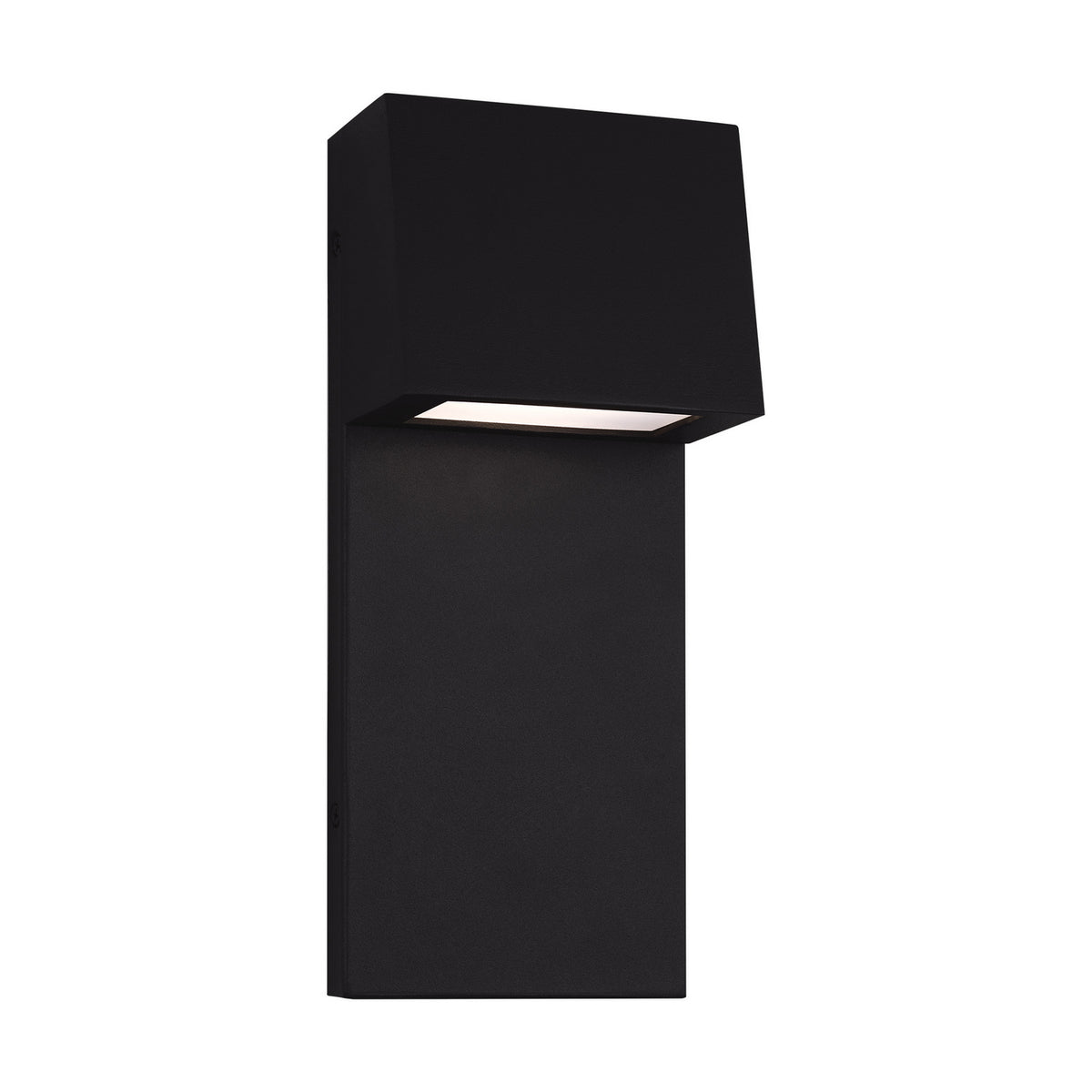 Rocha LED Outdoor Wall Lantern in Black