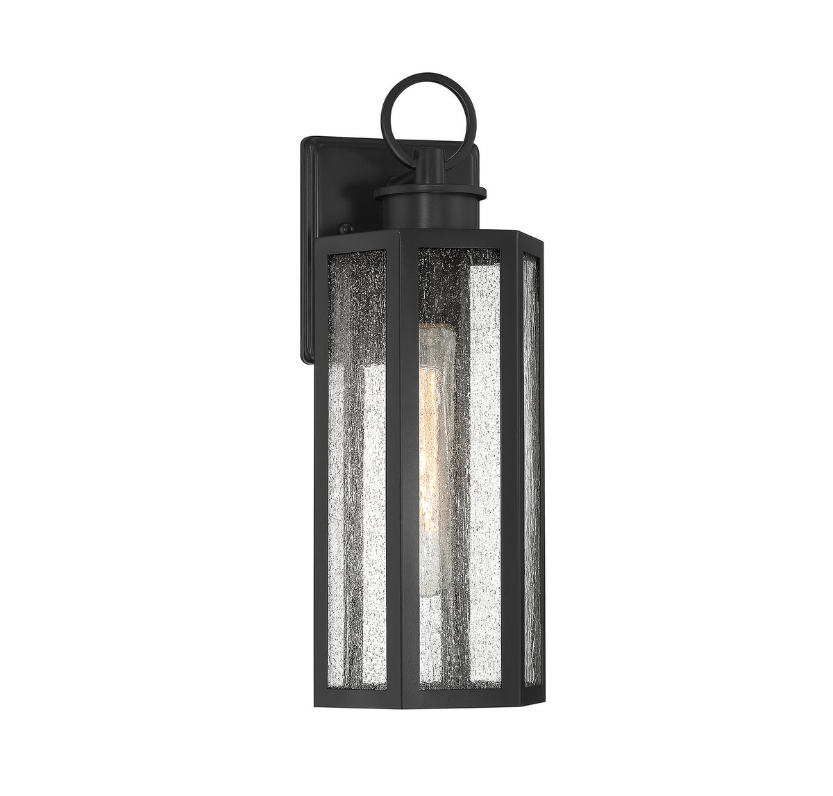 Hawthorne One Light Outdoor Wall Lantern in Black