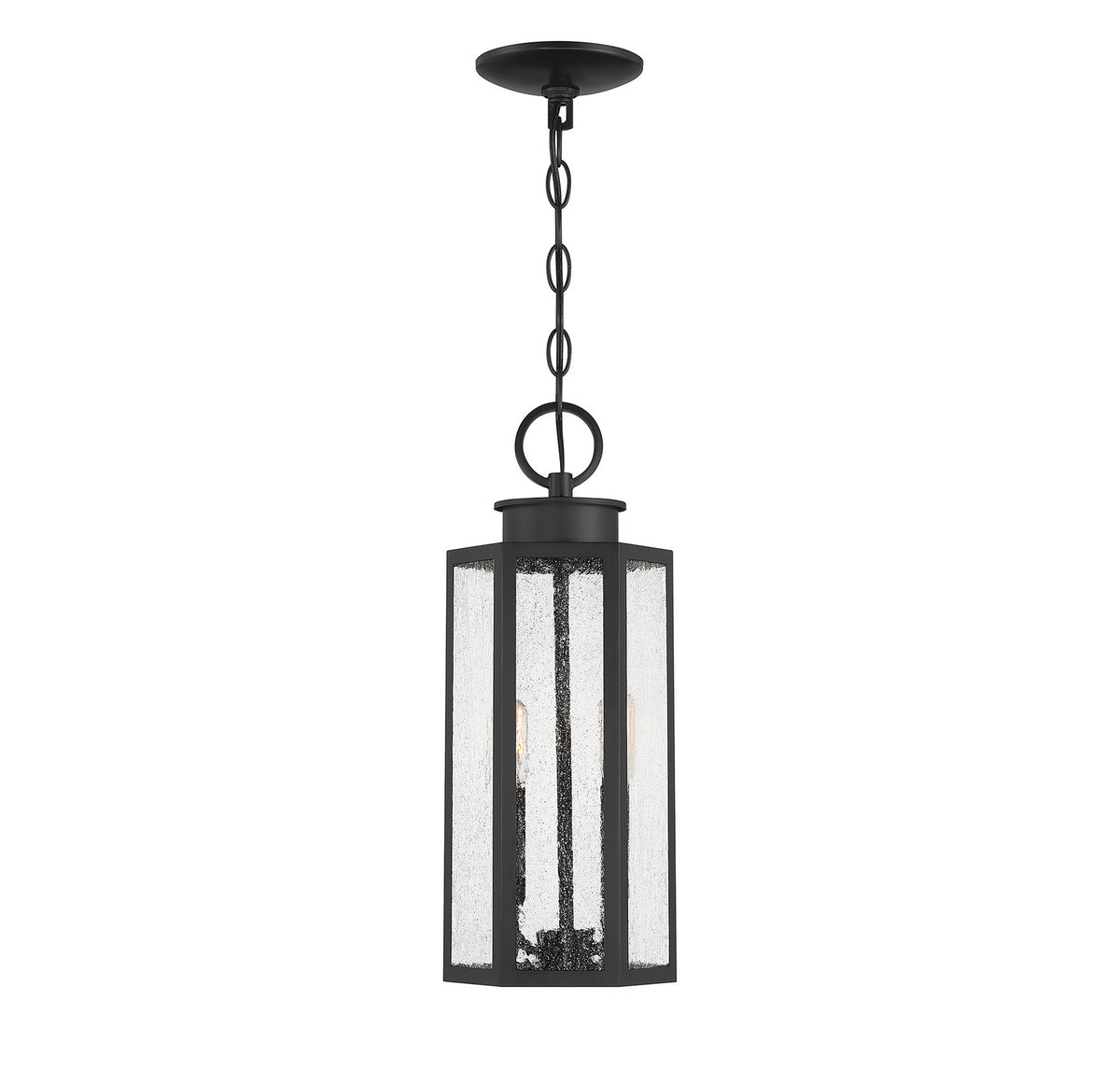 Hawthorne Two Light Outdoor Hanging Lantern in Black