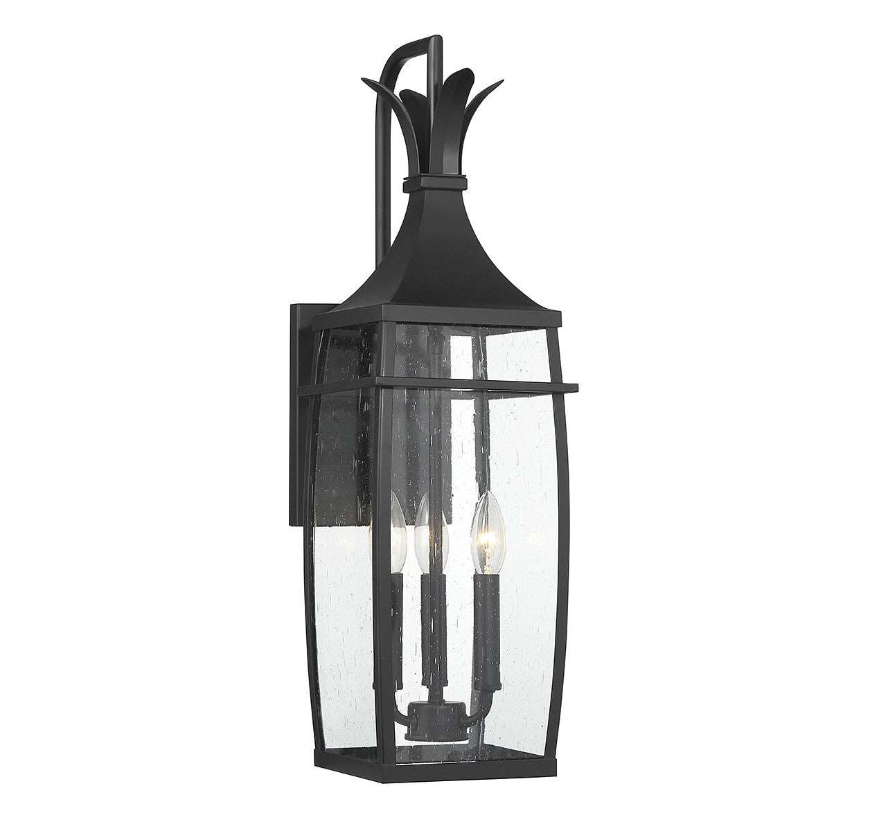 Montpelier Outdoor Wall Lantern