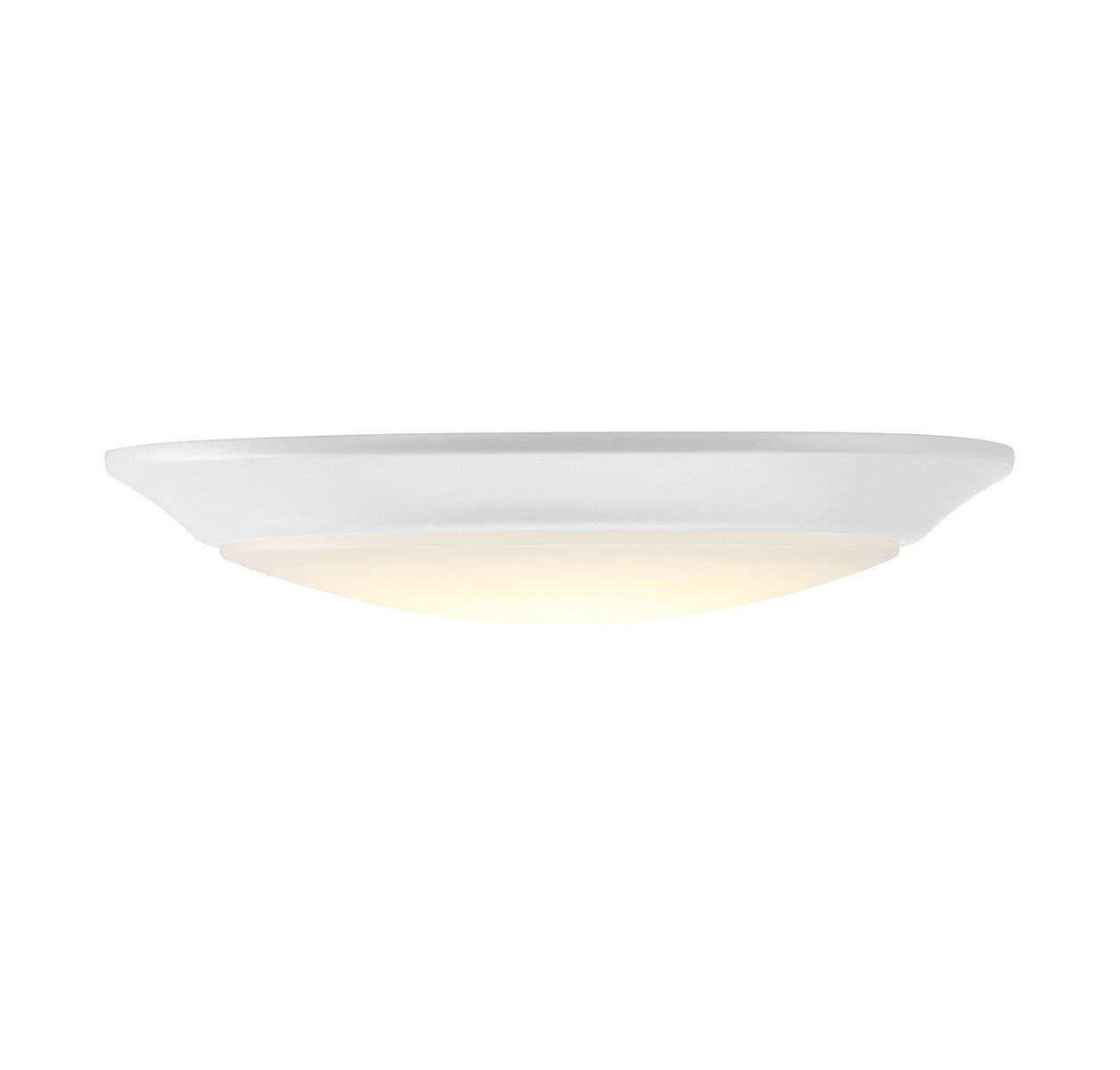Builder Specialty LED Disc Light in White