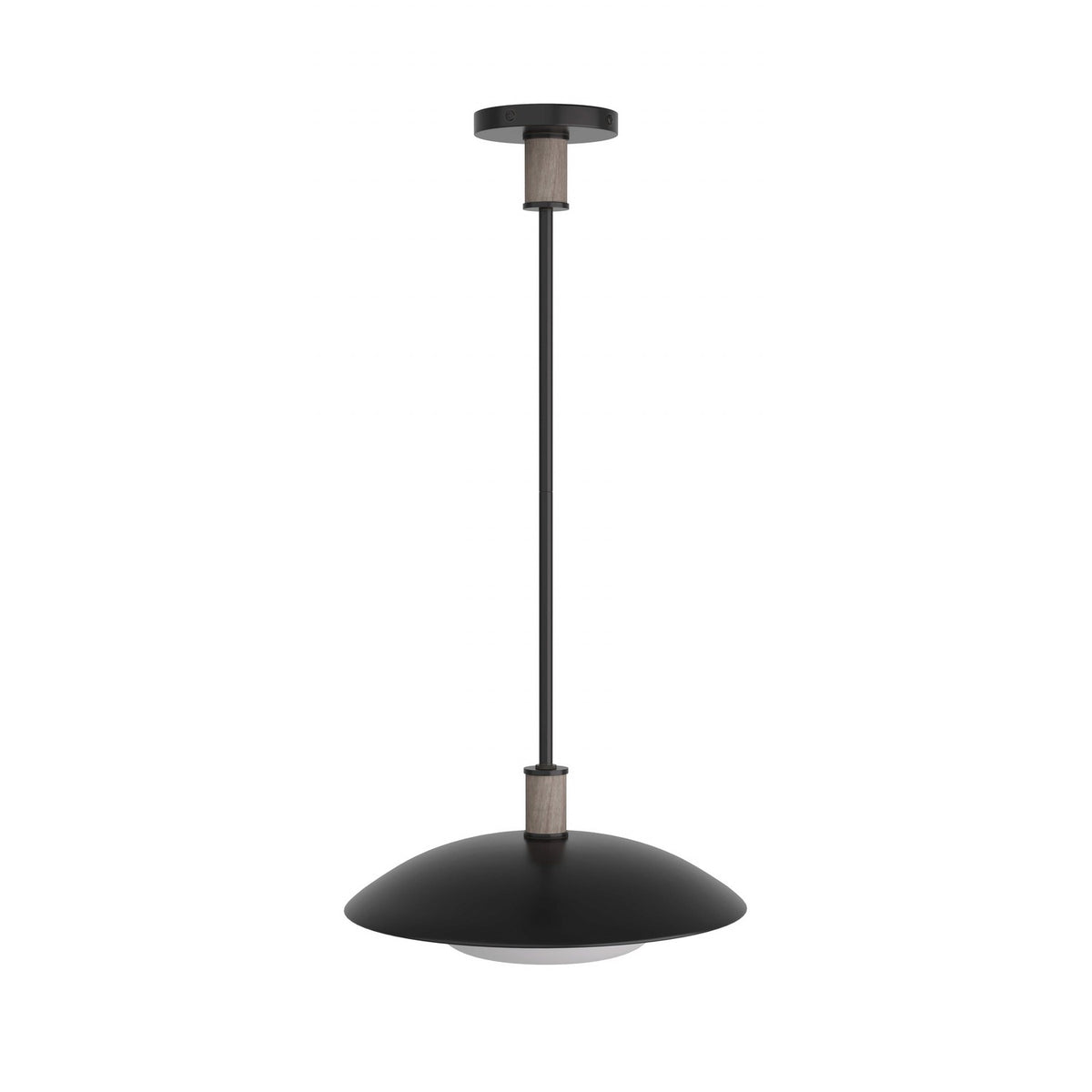 Tobias One Light Pendant in Blackened Iron