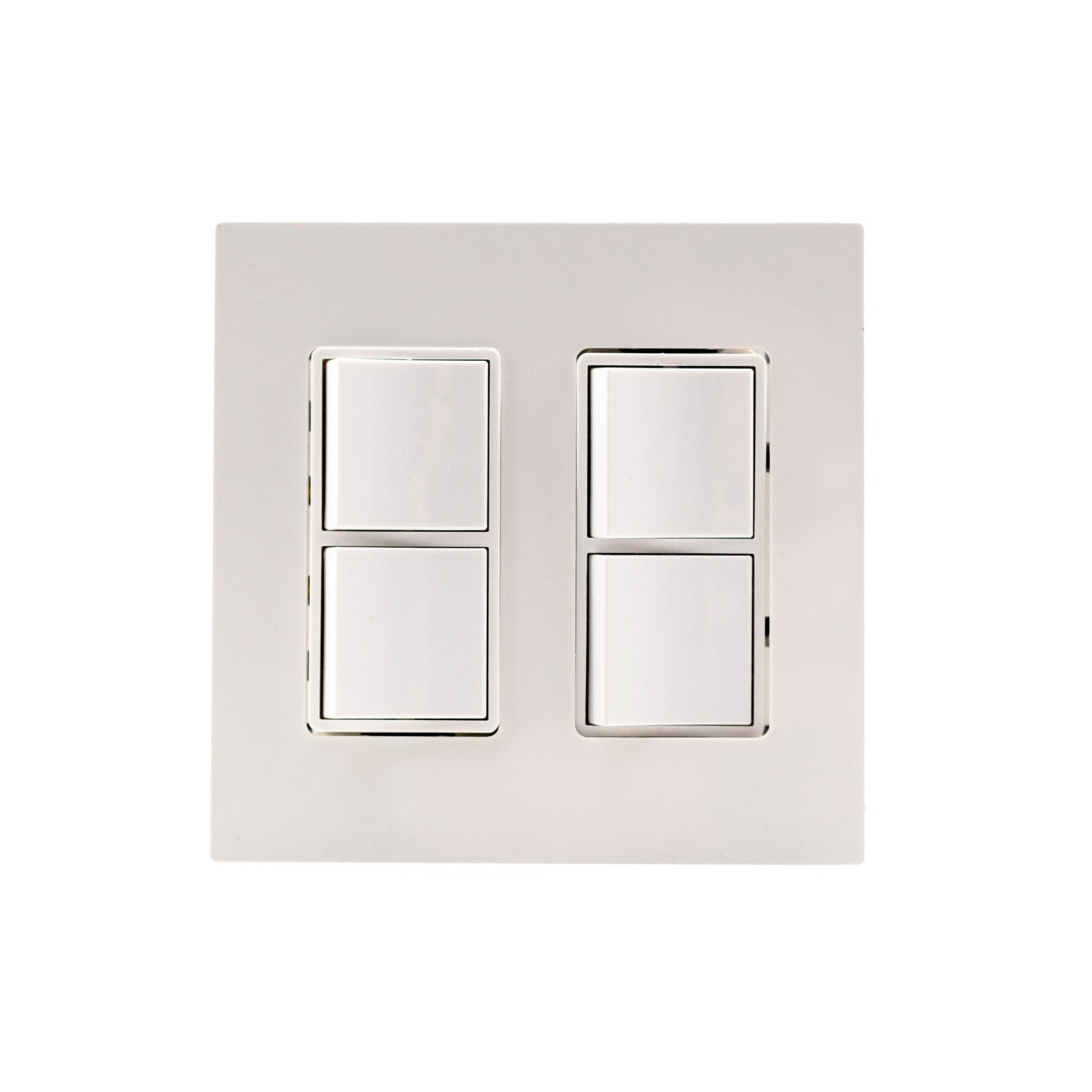 CONTROLS DUAL DUPLEX SWITCH