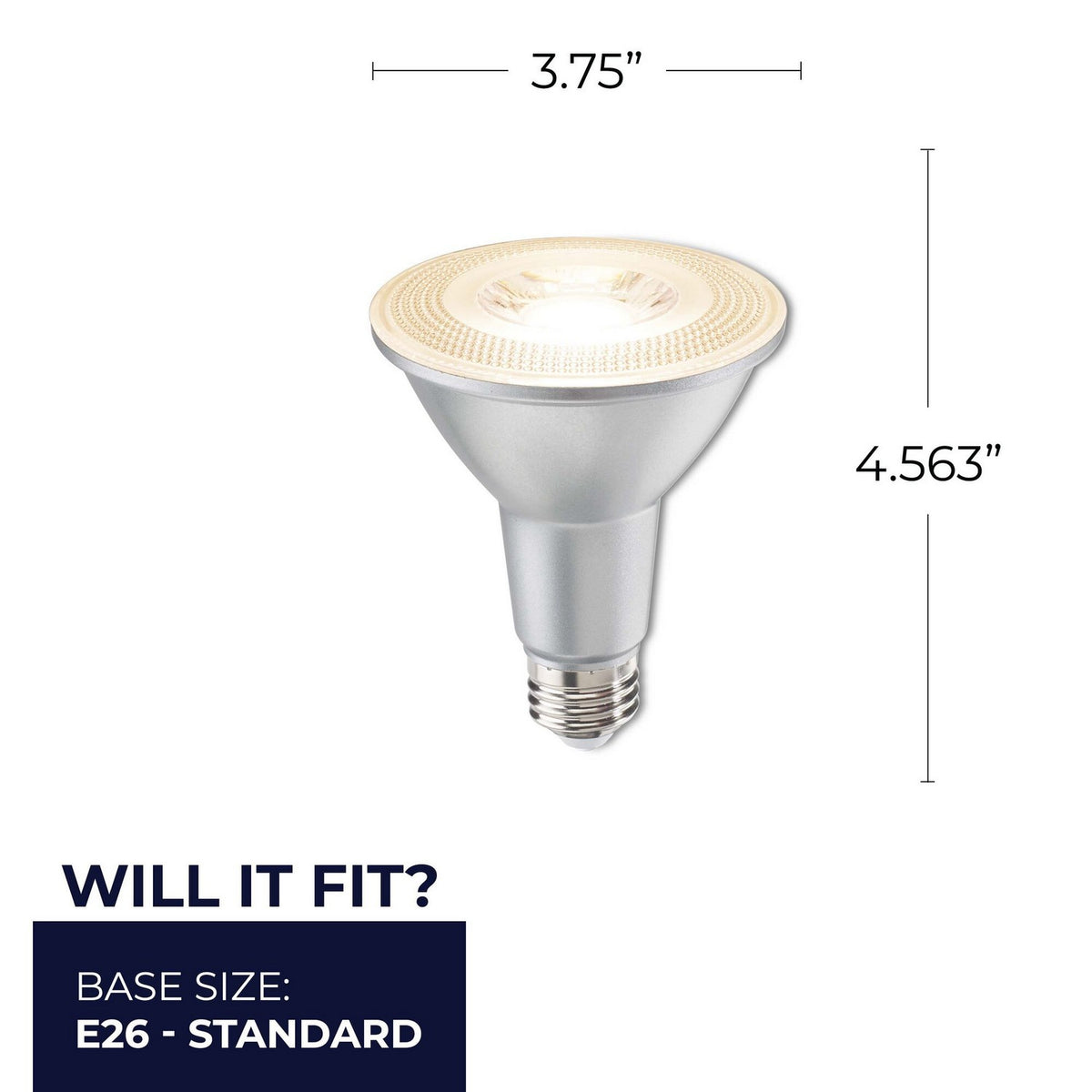 6 Light Bulb