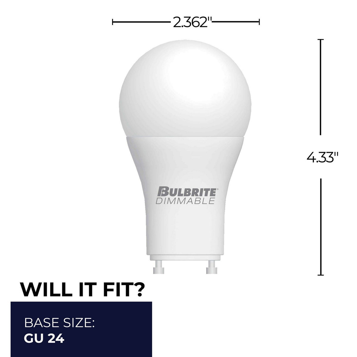 7 Light Bulb in Frost
