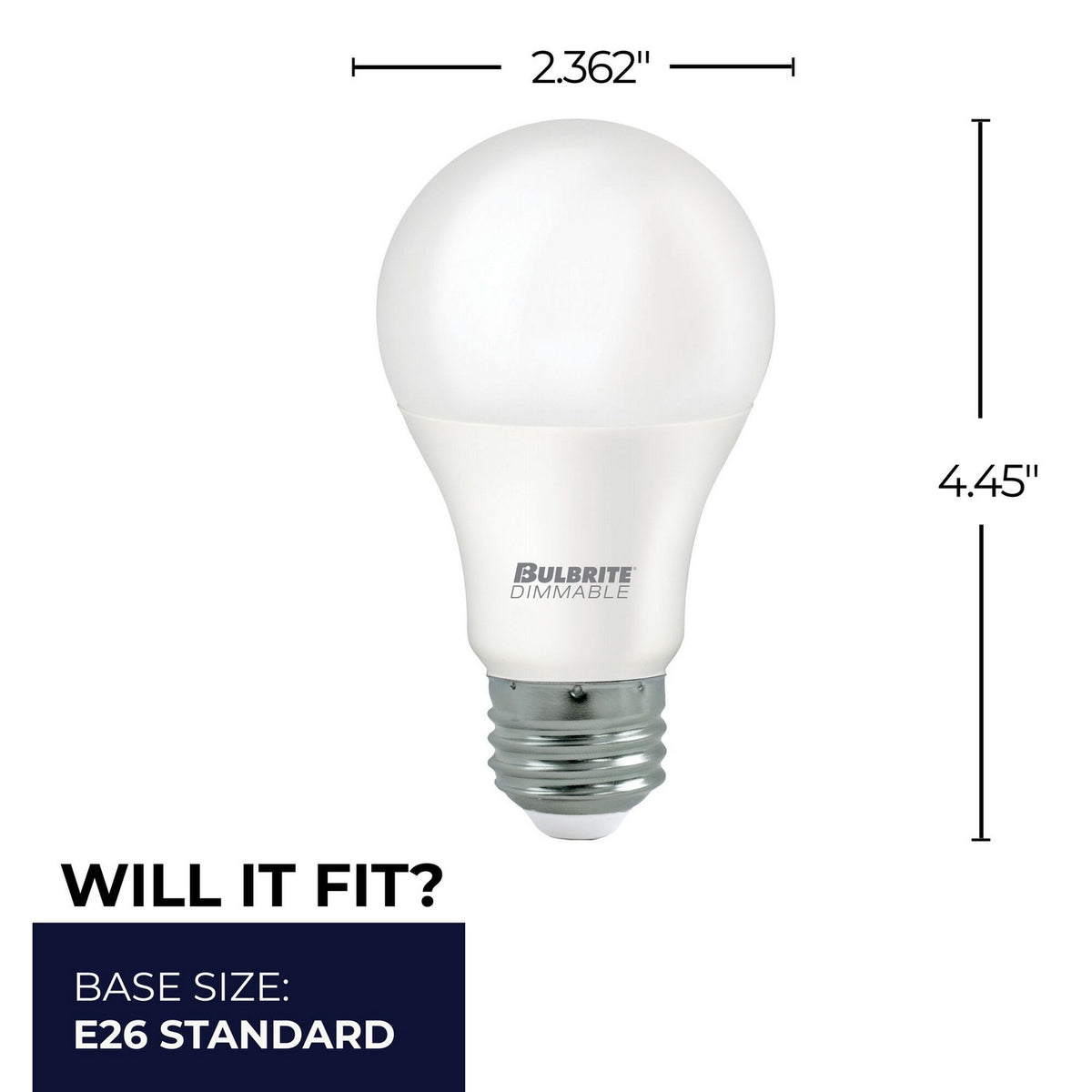 7 Light Bulb in Frost