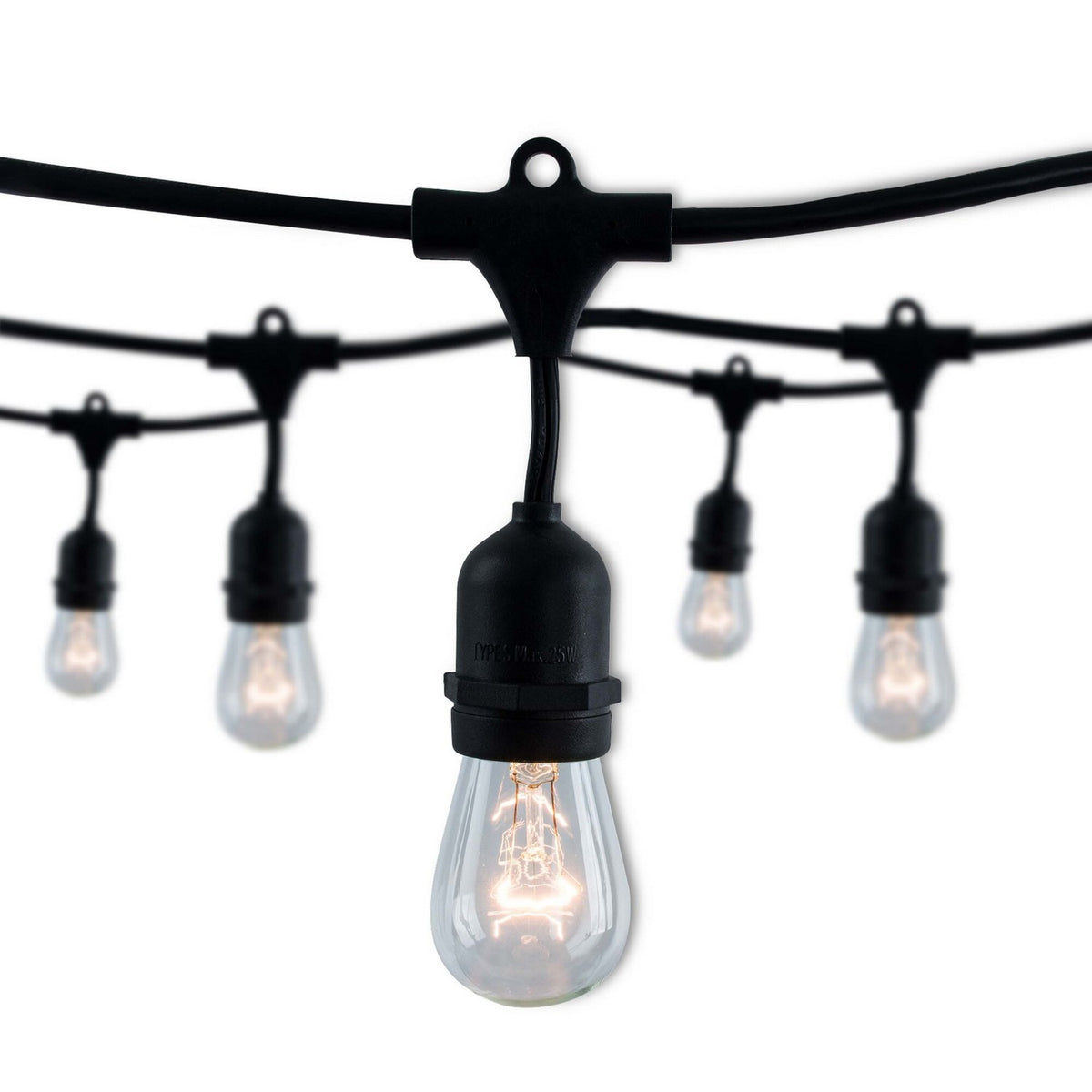 String Light in Black