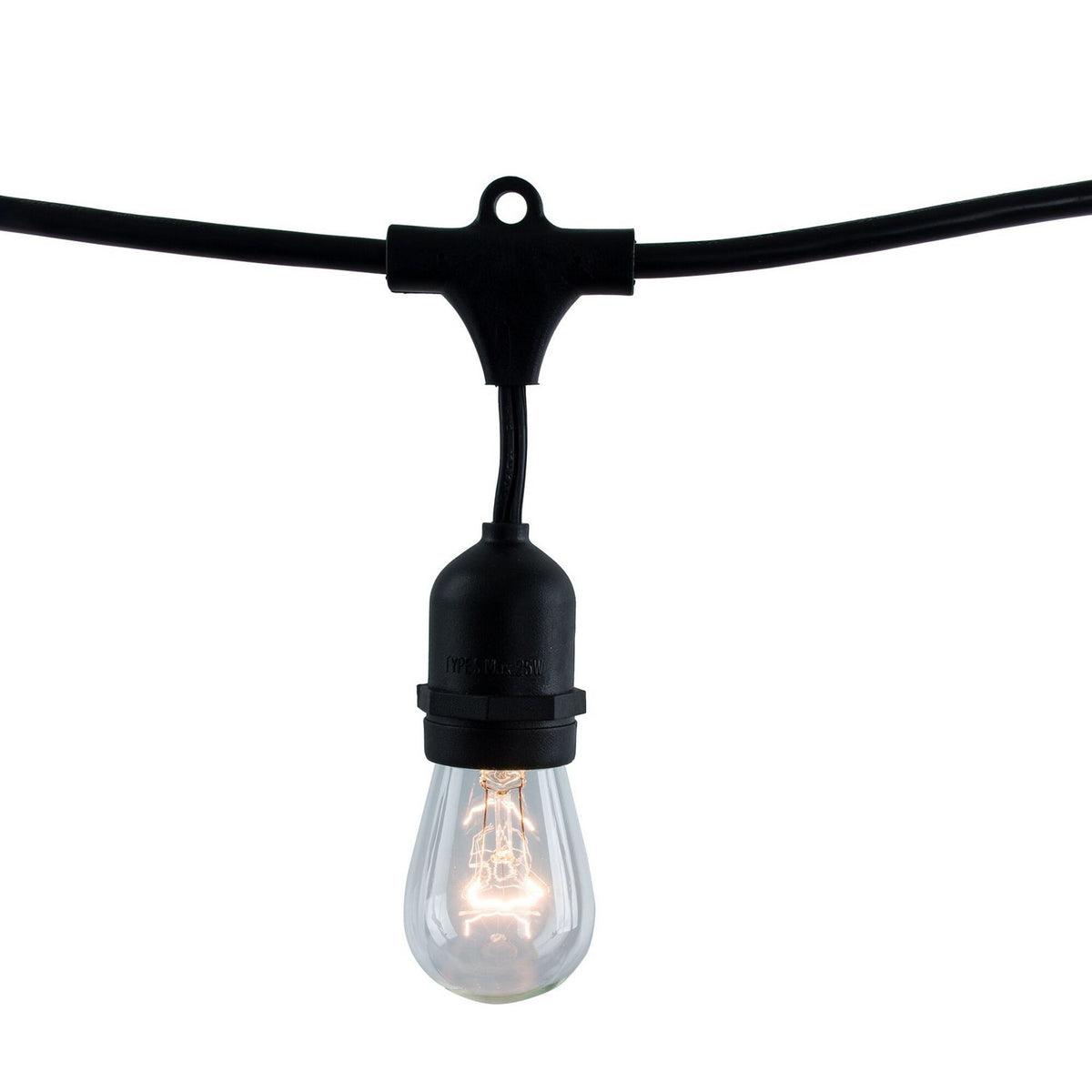 String Light in Black
