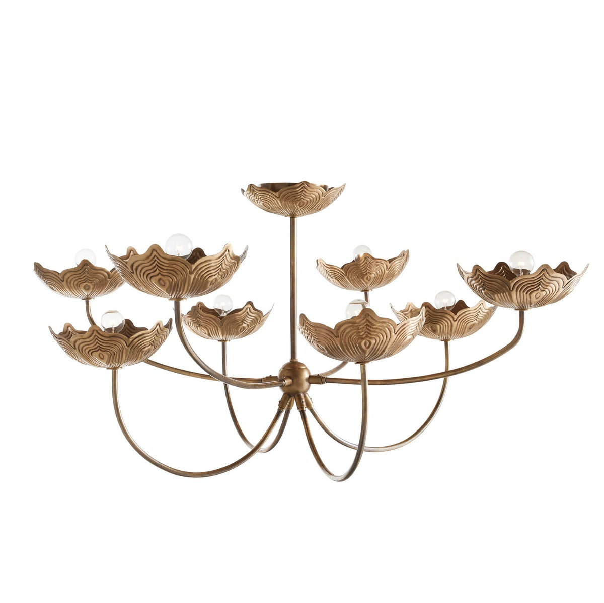 Encinitas Eight Light Chandelier in Antique Brass/Antique Brass