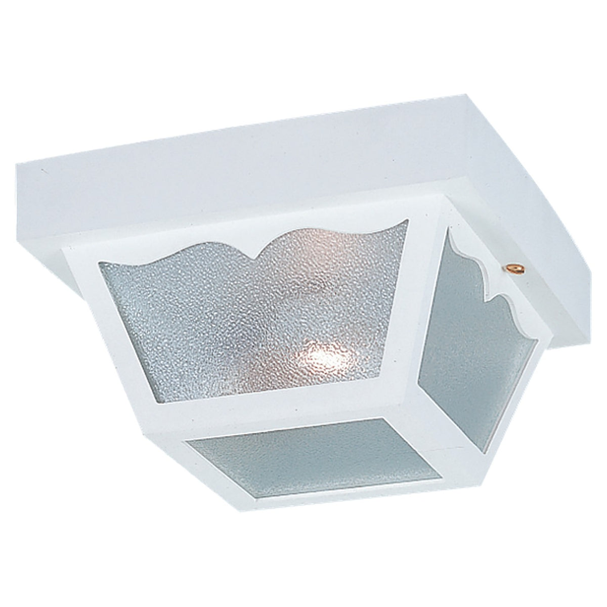 Outdoor Ceiling Two Light Outdoor Flush Mount