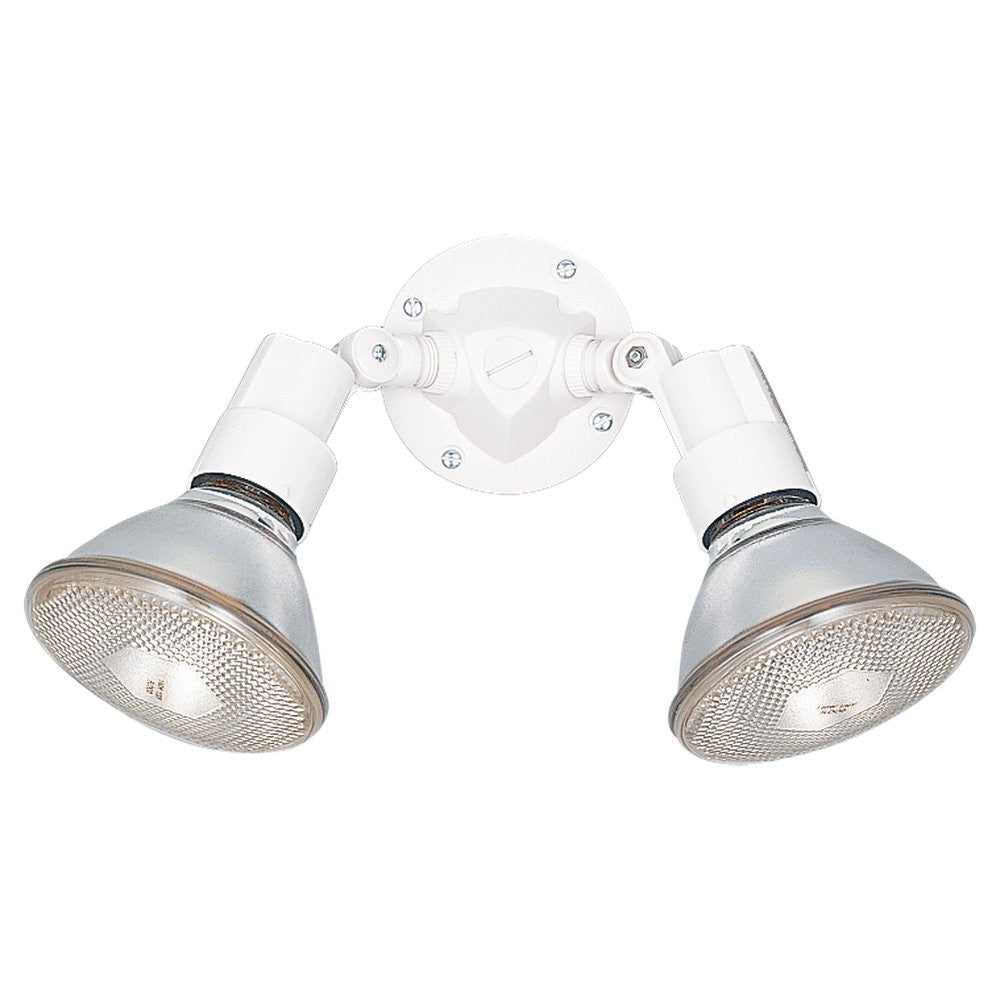 Flood Light Two Light Flood Light