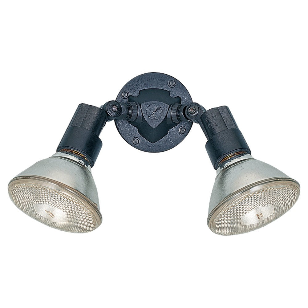 Flood Light Two Light Flood Light