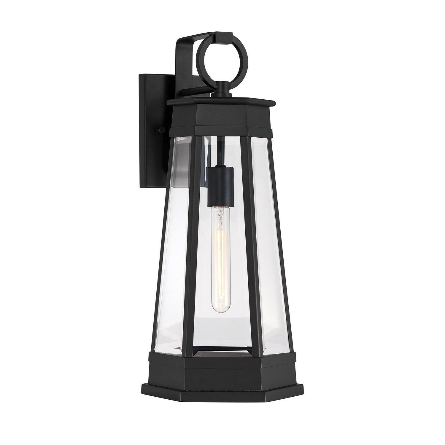 Payne Outdoor Wall Lantern