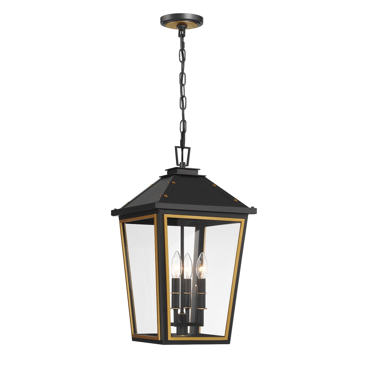 Hawkins Four Light Outdoor Pendant in Matte Black + Textured Gold