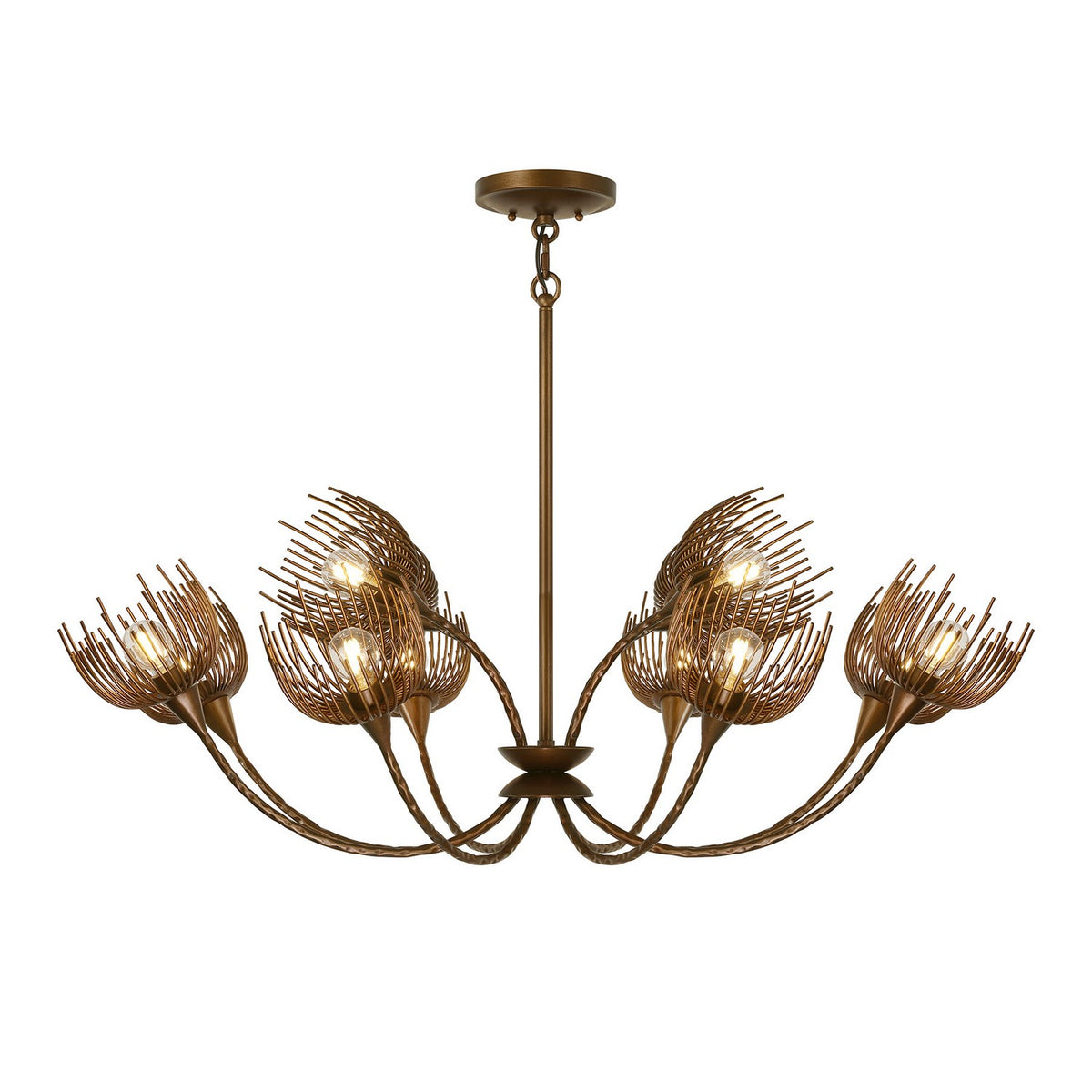 Protea 12 Light Chandelier in Manchester