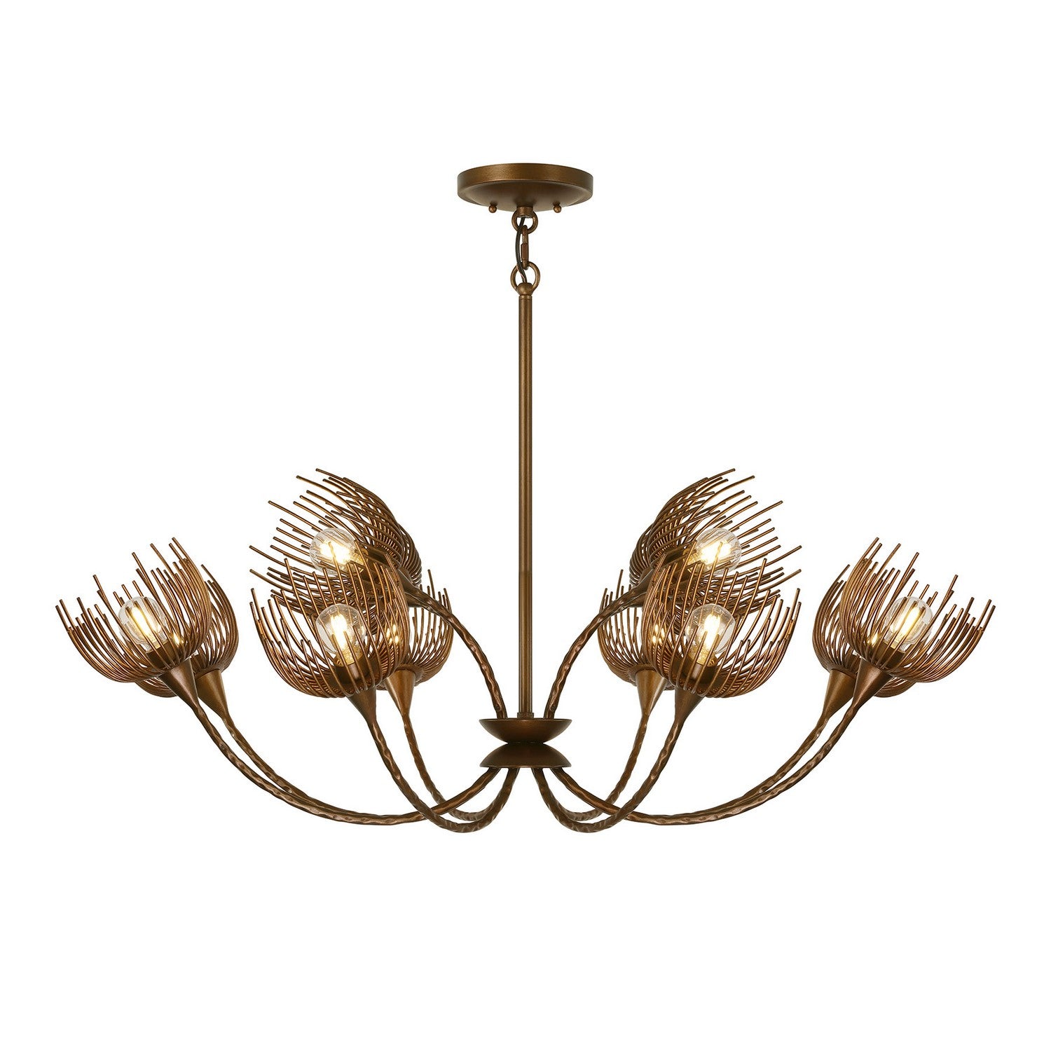 Protea 12 Light Chandelier in Manchester