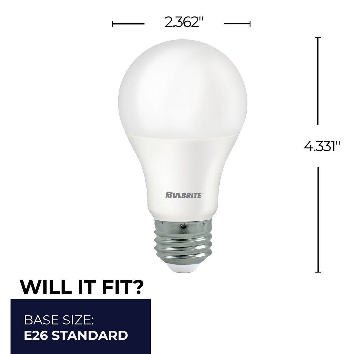 5 Light Bulb in Frost