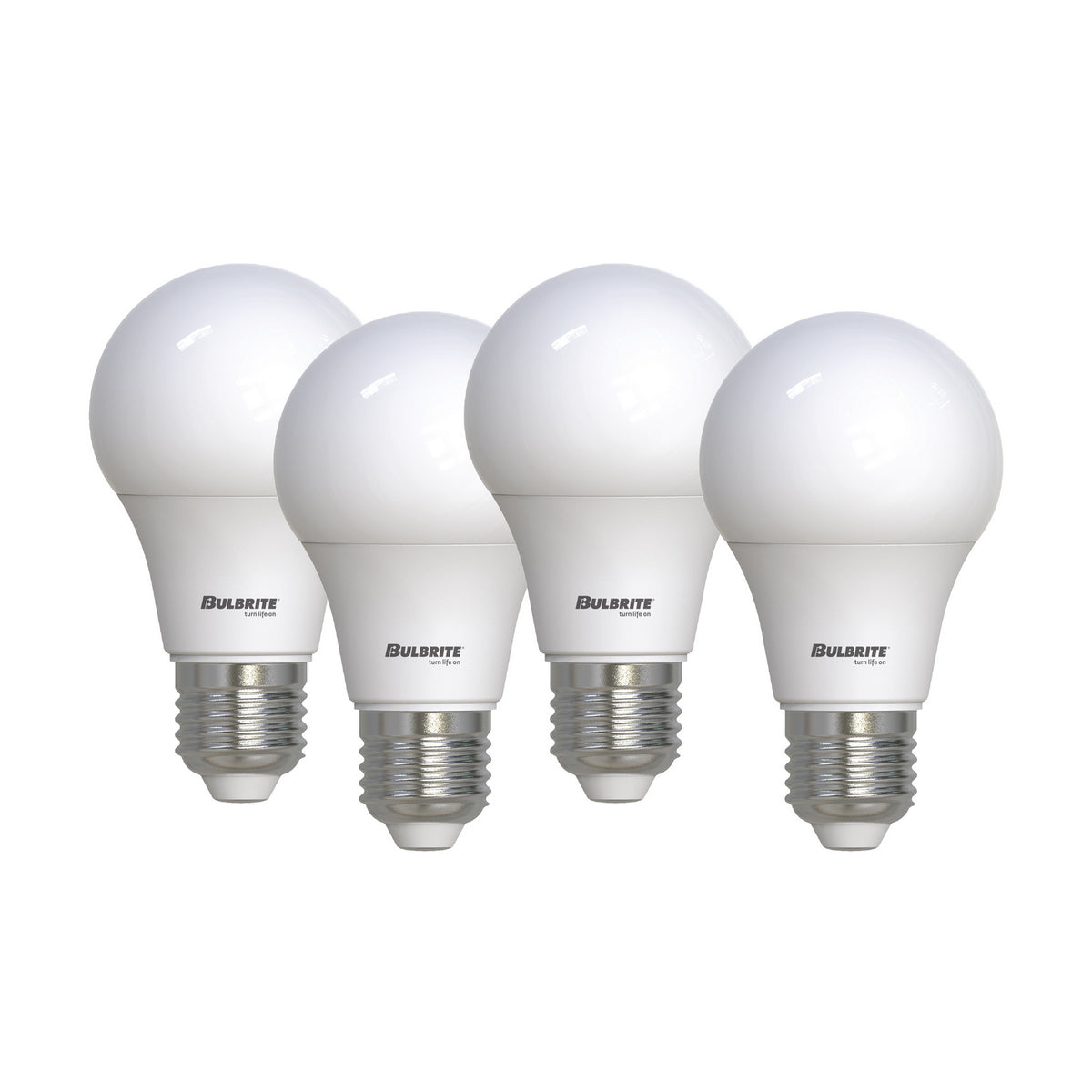 12 Light Bulb