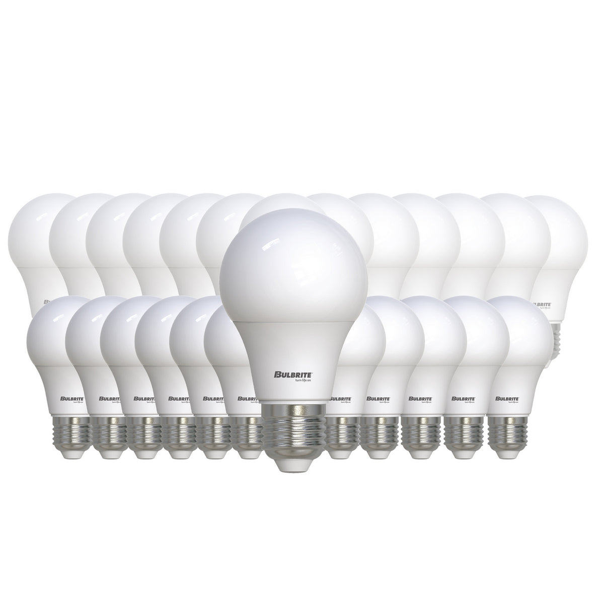 12 Light Bulb in Frost