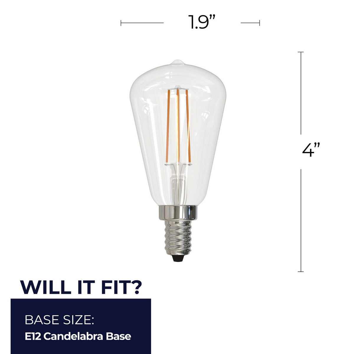 7 Light Bulb