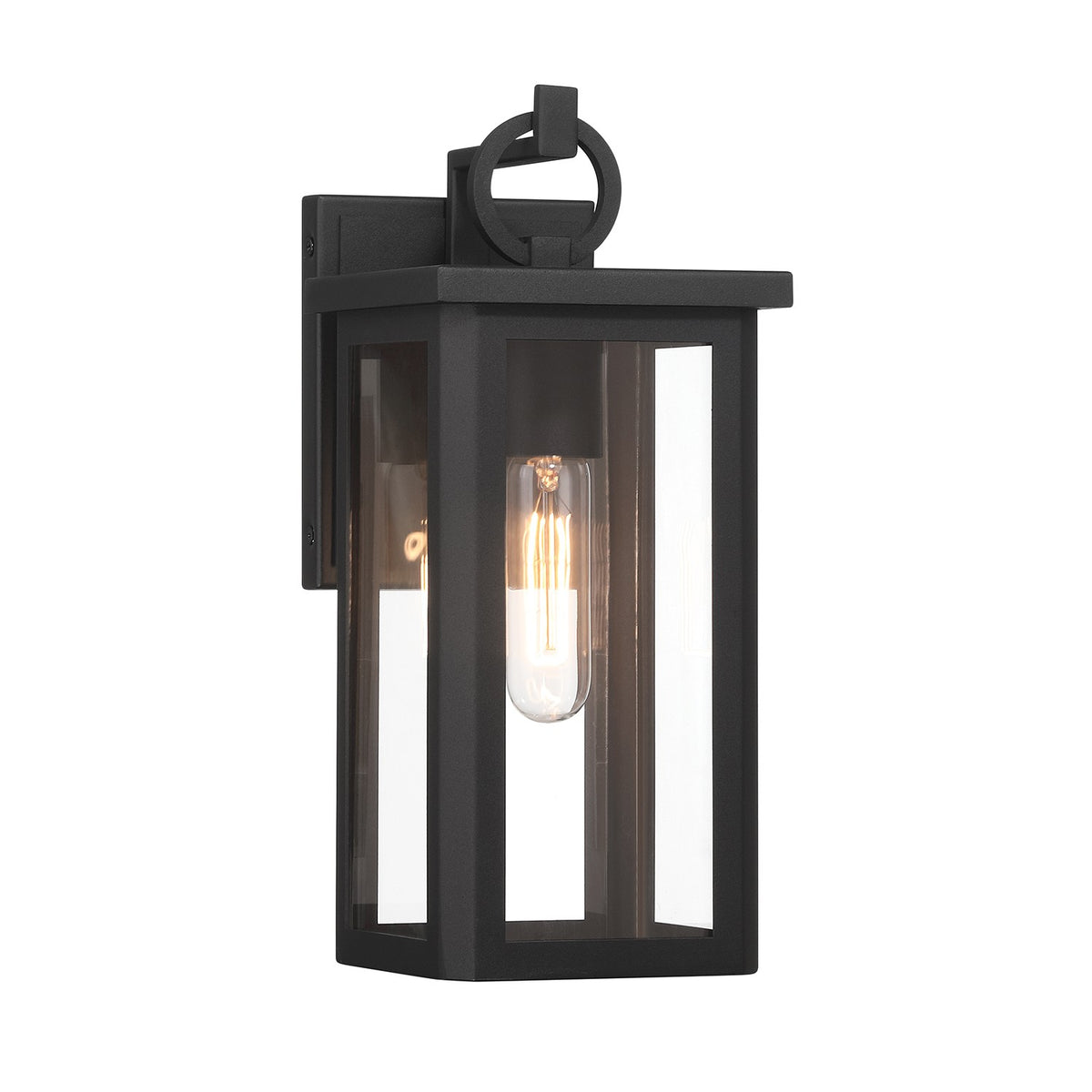 Boadie Outdoor Wall Sconce