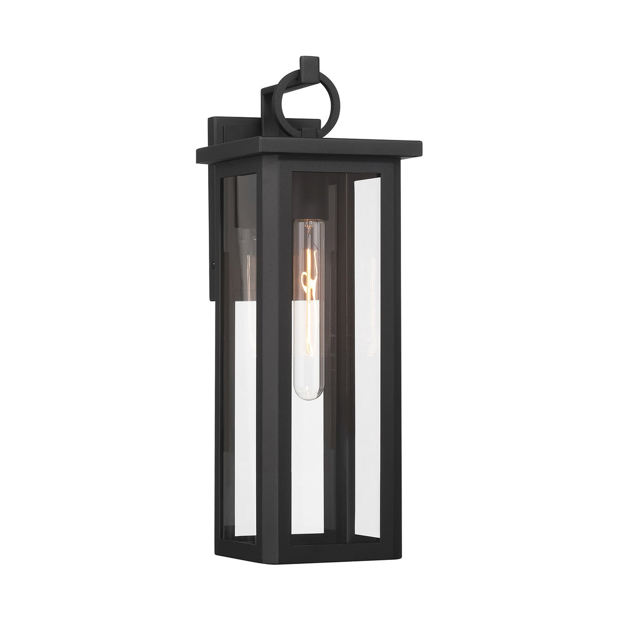 Boadie LED Outdoor Wall Sconce in Matte Black