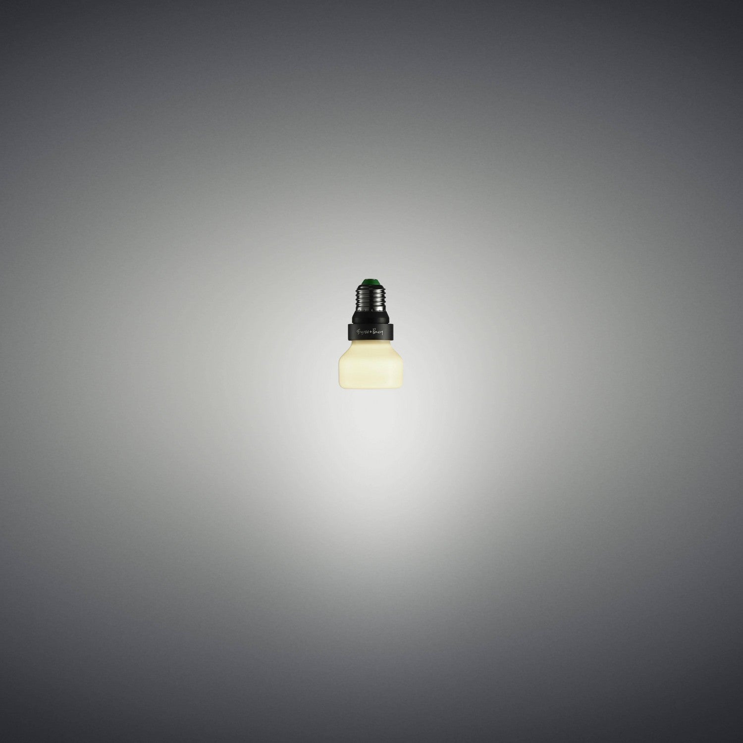 Light Bulb