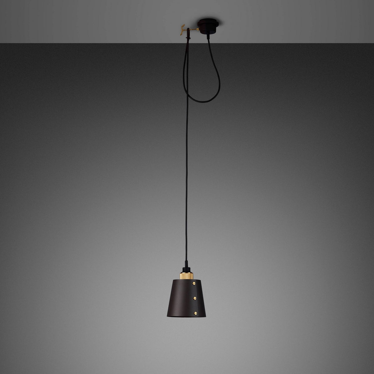 LED Pendant in Brass
