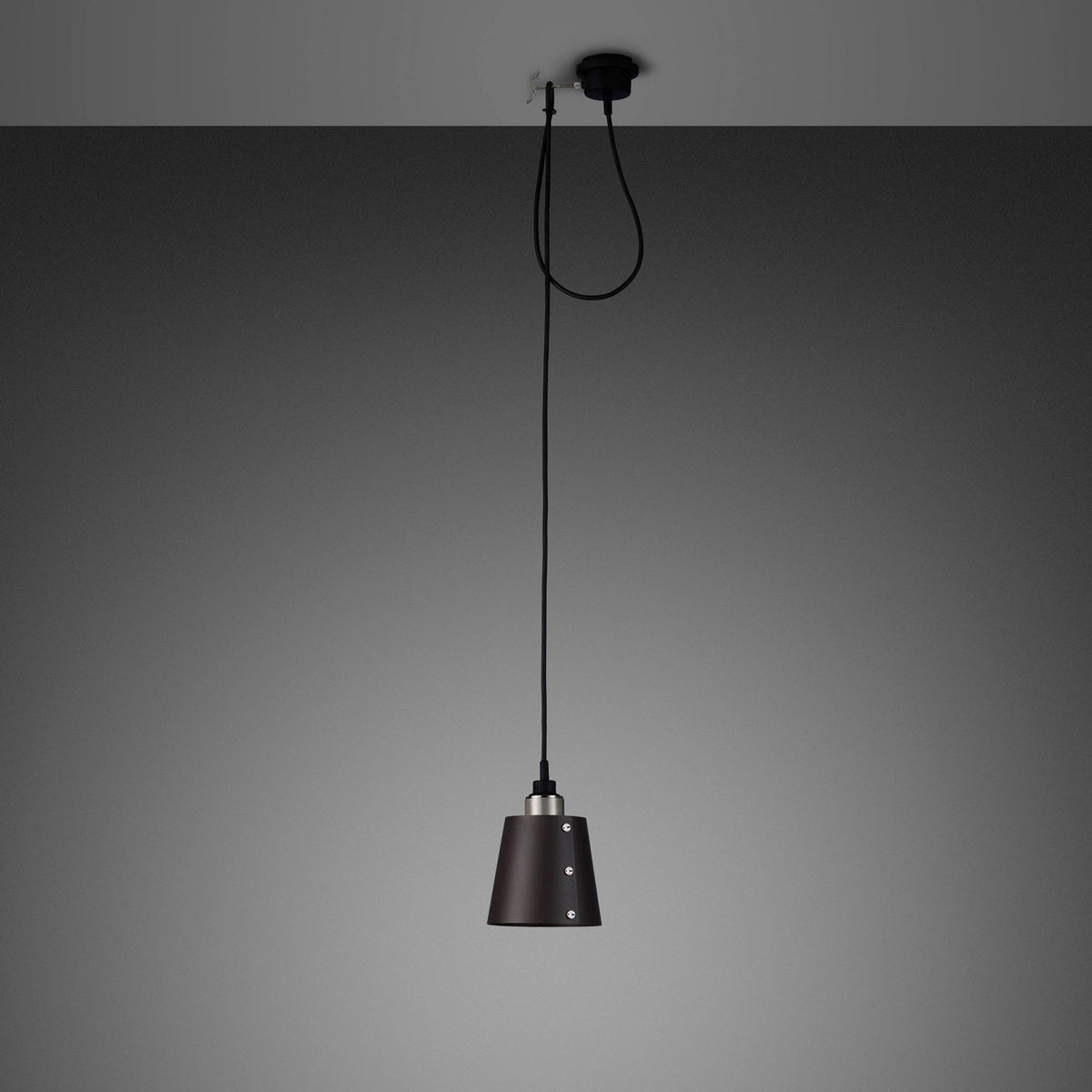 LED Pendant in Steel