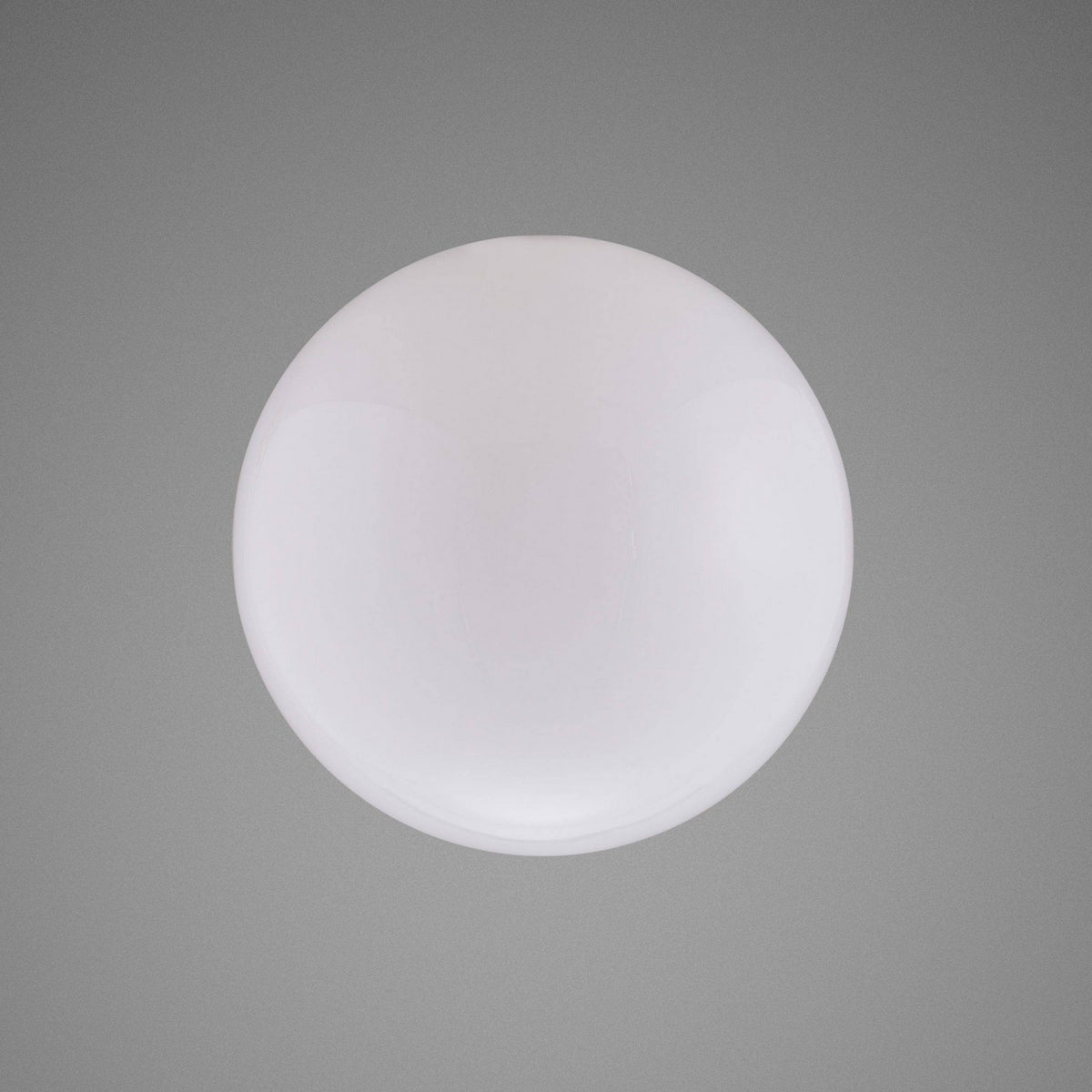 LED Ceiling or Pendant