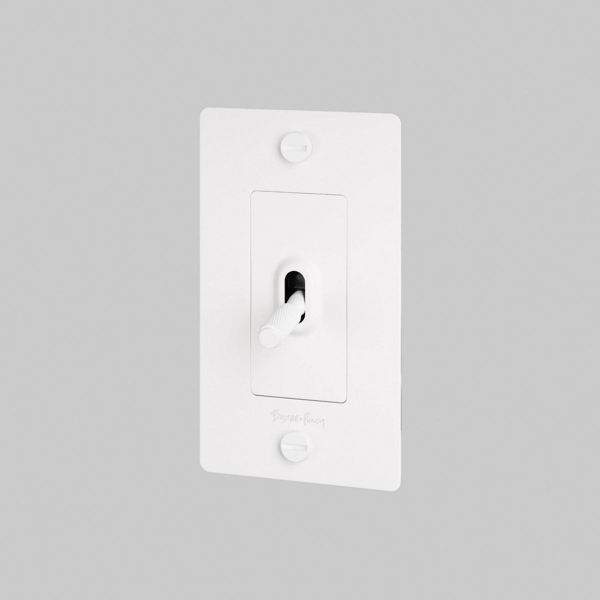Toggle Switch in White