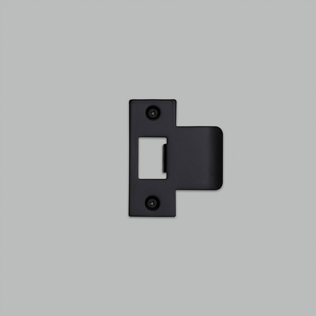 Strike Plate Kit in Black