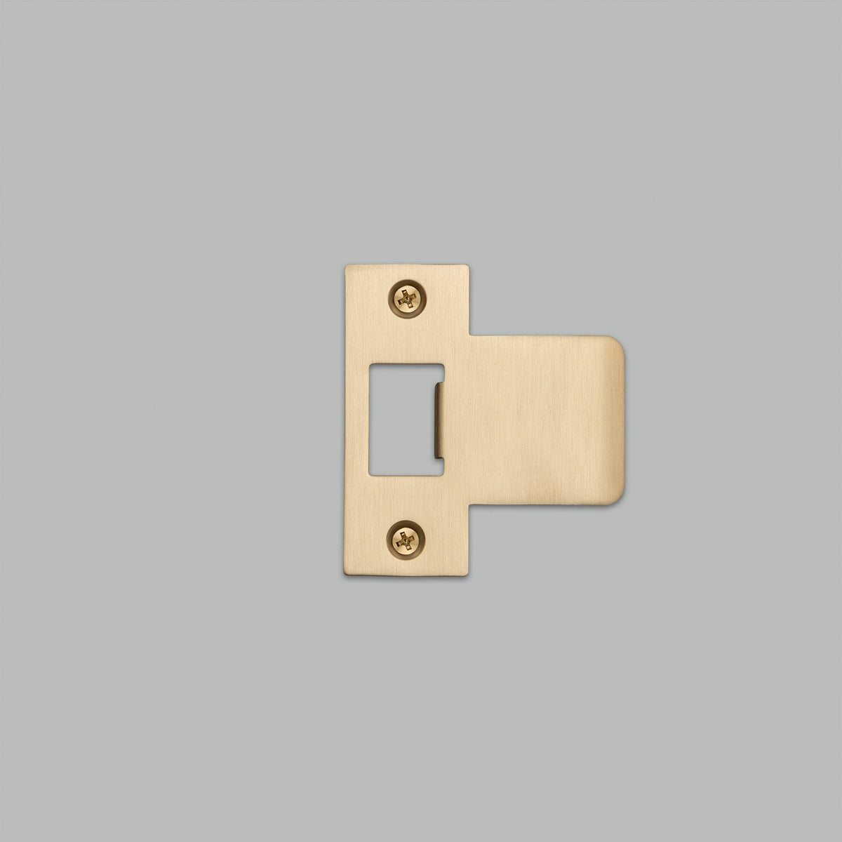 Strike Plate Kit in Brass