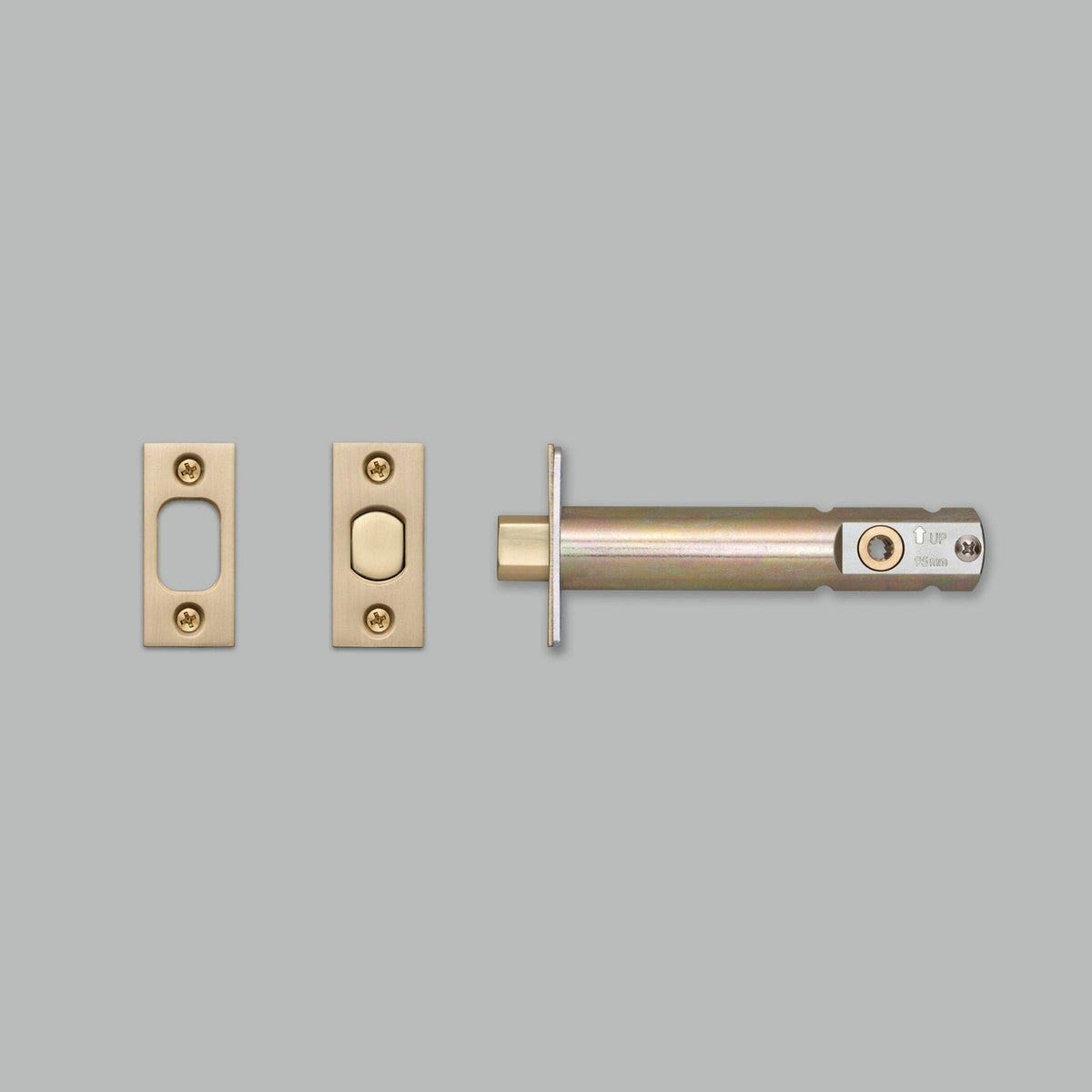 Privacy Bolt in Brass