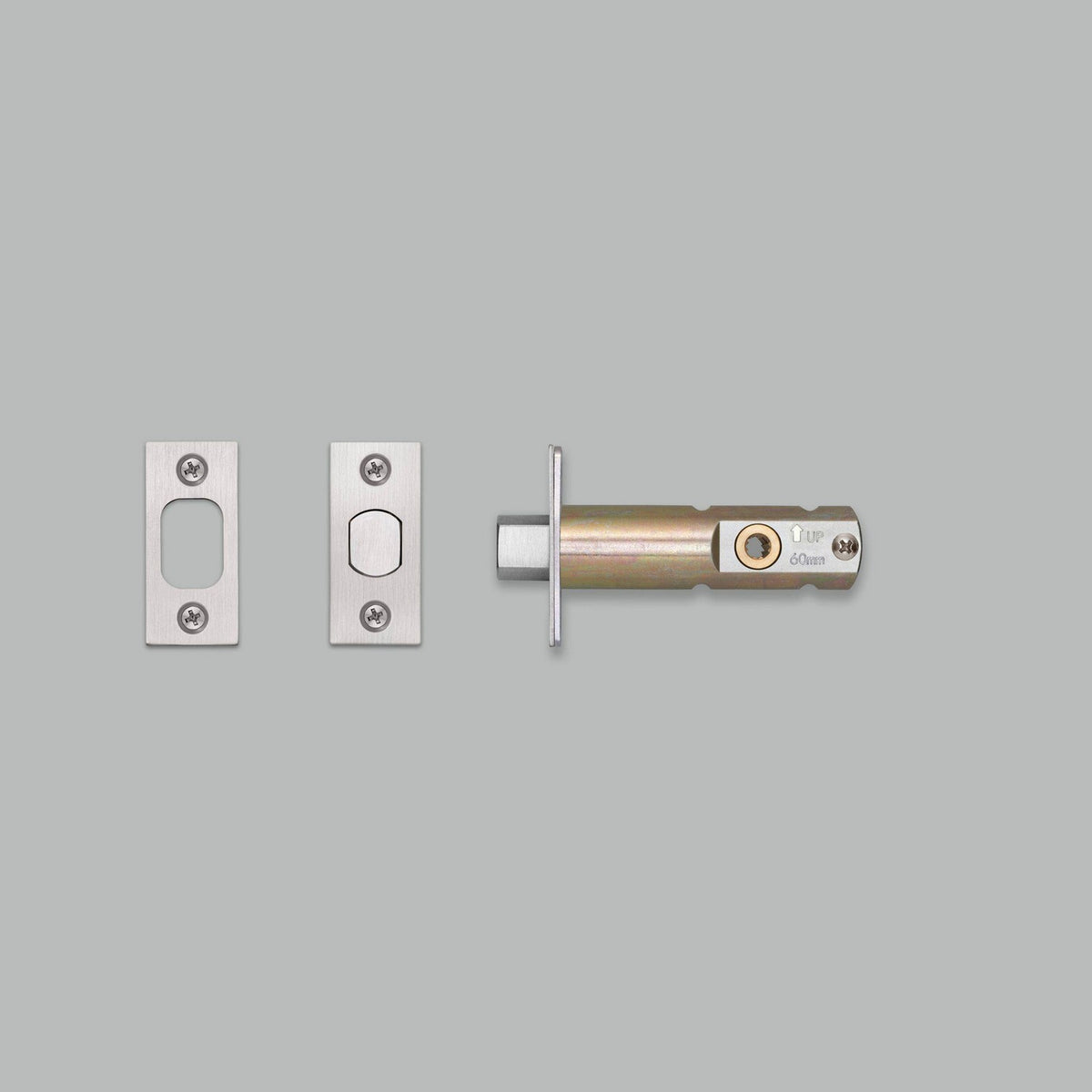 Privacy Bolt in Steel