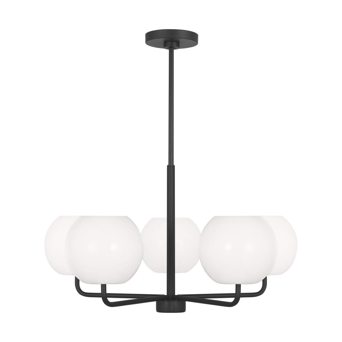 Rory Five Light Chandelier in Midnight Black
