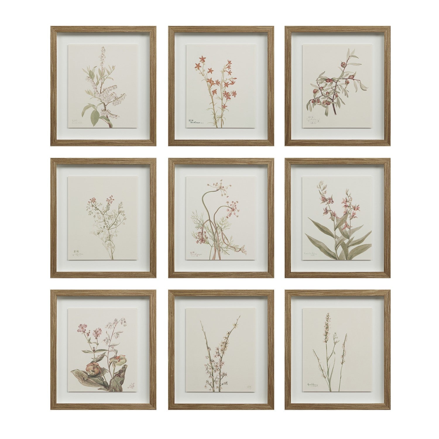 Crema Wall Decor in Medium Walnut